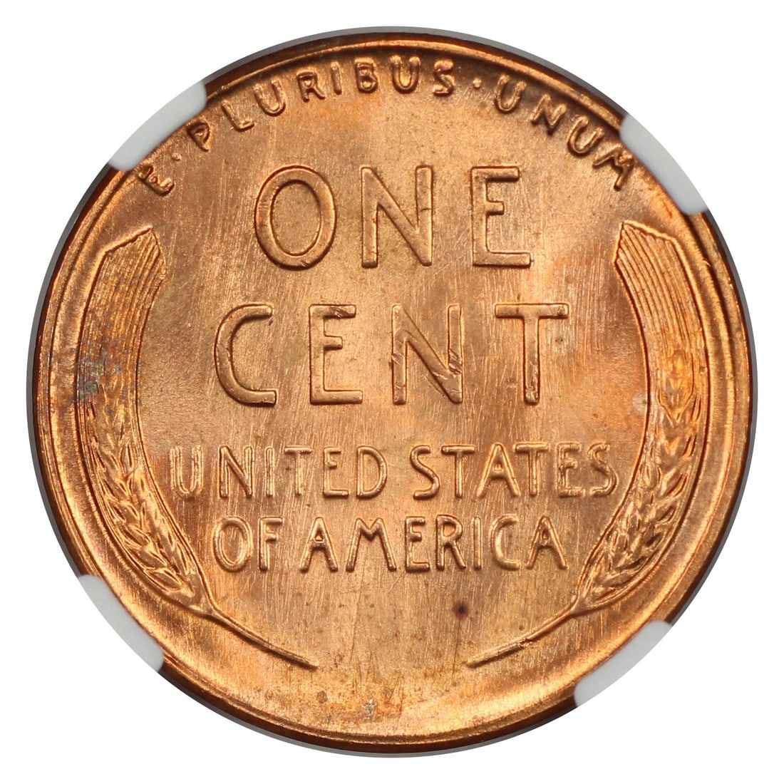 NGC MS67+RD Lincoln Cent Wheat Reverse - 4