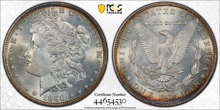 MS66 dollar coin - 2