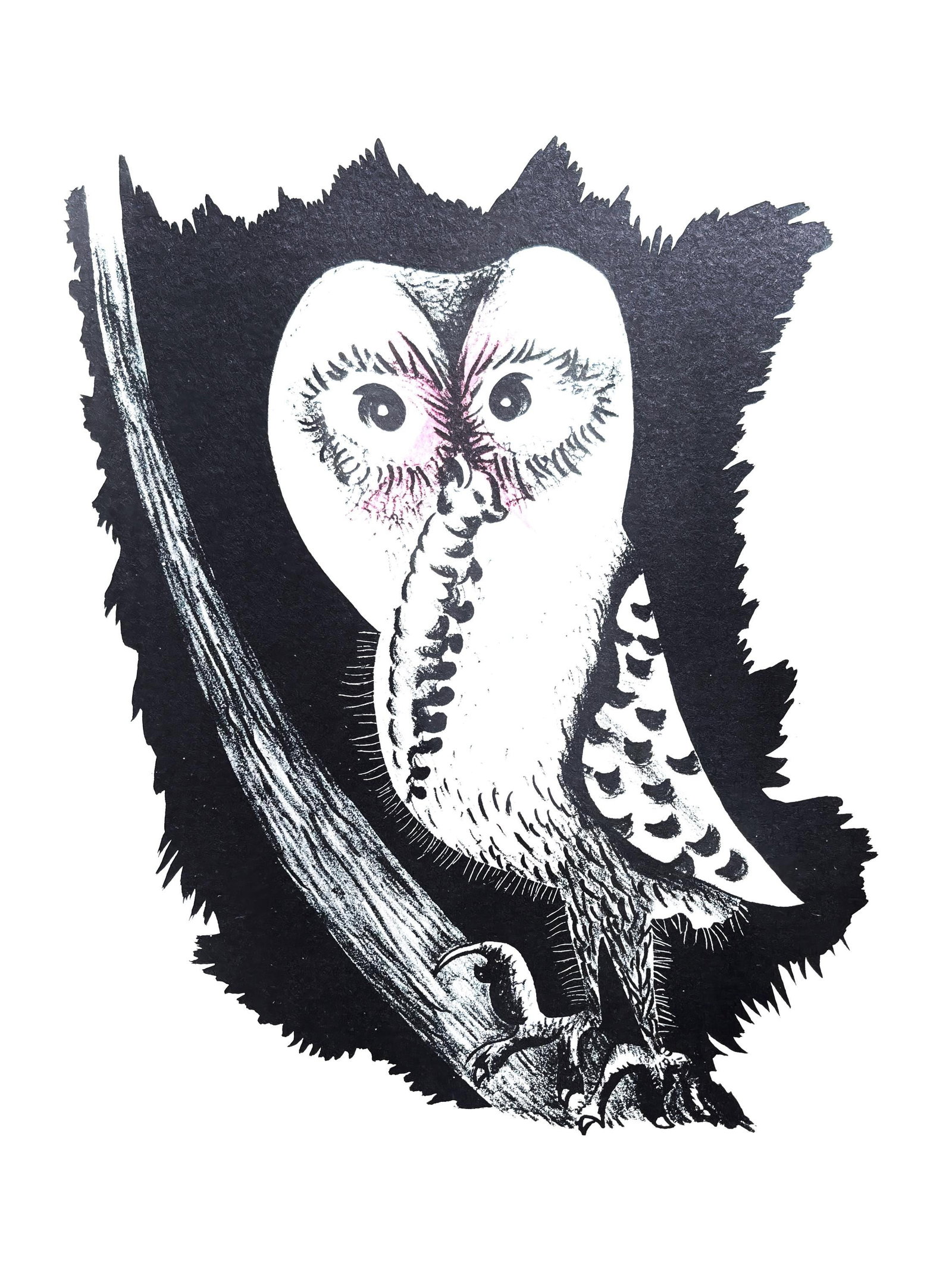 Good Hope Owl of Jean Lurcat Lithograph from Animal Geography 1975 (1 of 7)