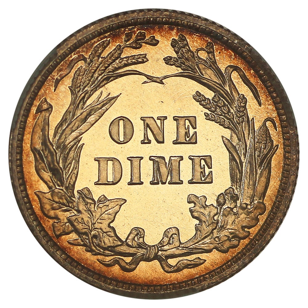 Camphor dime caco. - 6
