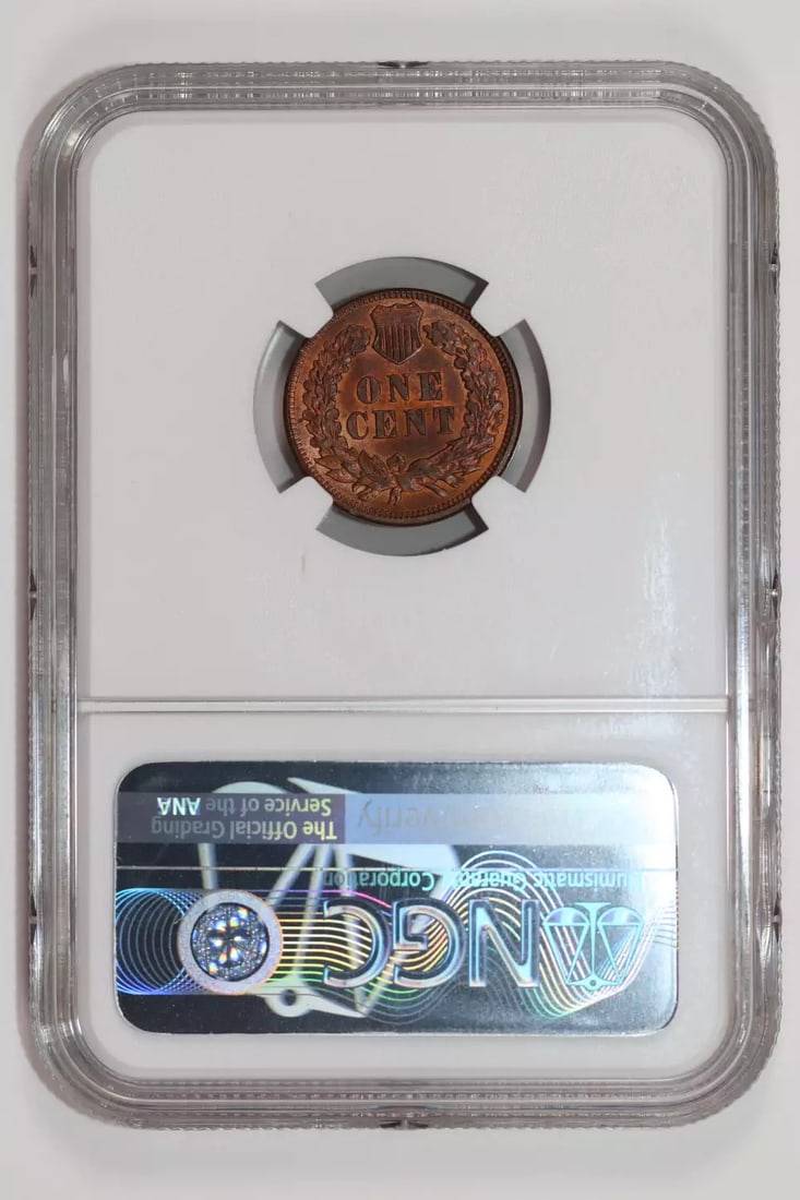 Indian Head Cent 1893 - 2