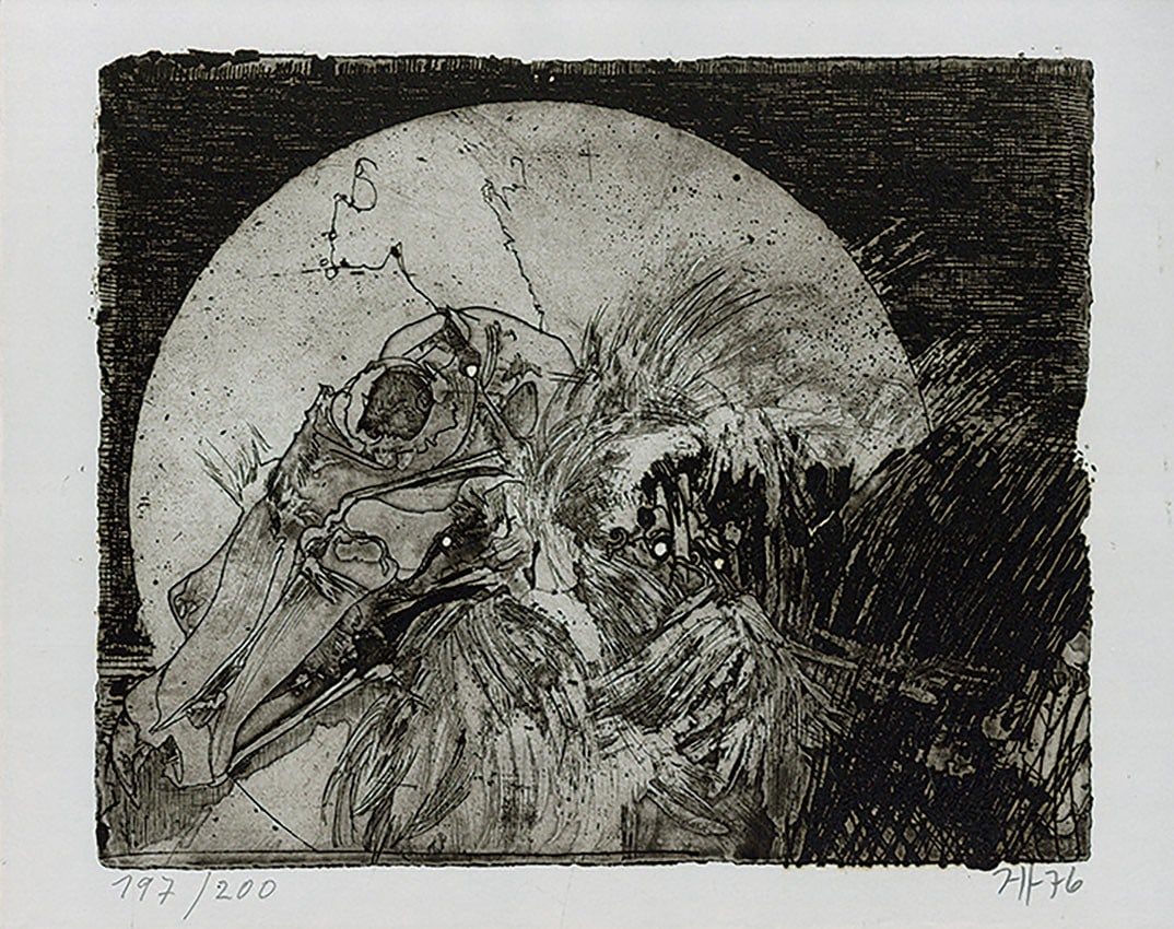 Signed Copperplate Etching Print 1976 Limited Edition By Horst Janssen: Signed Copperplate Etching Print 1976 Limited Edition By Horst Janssen Signed copperplate etching print from 1976, bearing a signature by renowned German artist Horst Janssen. This limited edition