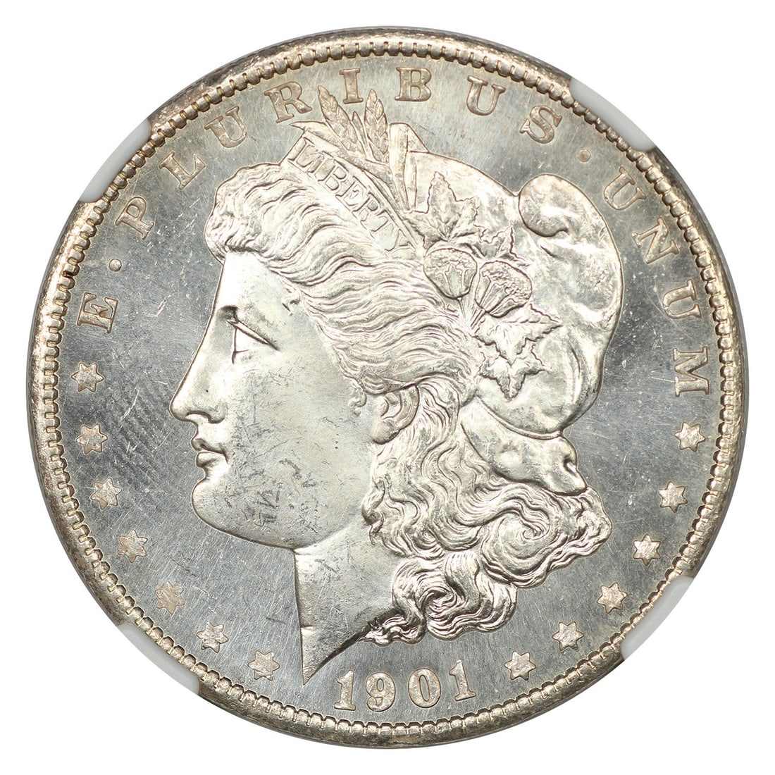 Morgan Dollar - 3