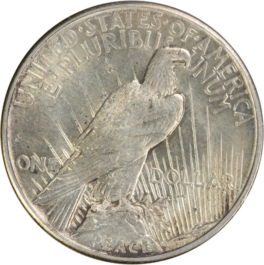 Peace Silver Dollar Certified - 2
