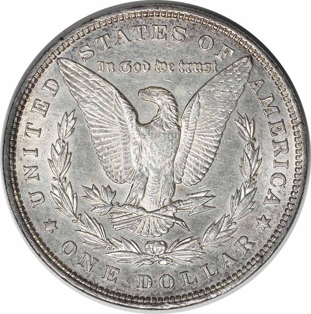 Morgan silver dollar slider uncured - 2