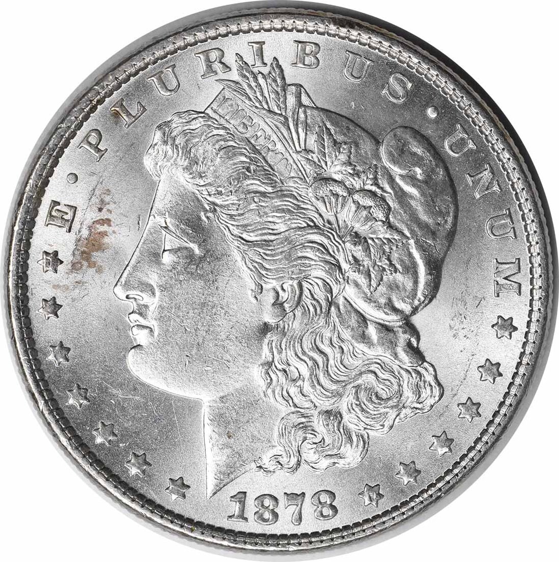 Morgan Silver Dollar Choice 7TF Reverse 1879 1878 Uncertified (1 of 2)