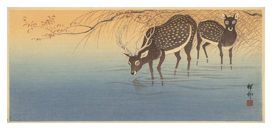 WB Ohara Koson Japanese Woodblock Prints Antique Ukiyo-e Lake Pair of Deer: WB Ohara Koson Japanese Woodblock Prints Antique Ukiyo-e Lake Pair of Deer Paper from the Meiji Period, created by renowned artist Ohara Koson, features a striking pair of deer against a serene lake b