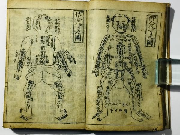 Kyoho 16 Hakki Elucidation Meridian Acupuncture Edo 1731 Medical Book Jushikei: Kyoho 16 Hakki Elucidation Meridian Acupuncture Edo 1731 Medical Book Jushikei Kyoho 16 Hakki Elucidation Meridian Acupuncture Edo 1731 Medical Book Jushikei bears the signature of Hua Shou, a renowne