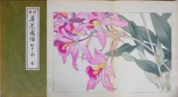 Woodblock Print Book Seiyo Kusabana Autumn Winter Konan Tanigami Zufu 1978: Woodblock Print Book Seiyo Kusabana Autumn Winter Konan Tanigami Zufu 1978 Woodblock print book by Konan Tanigami, featuring botanical flowers in autumn and winter landscapes, created in 1978. This 28