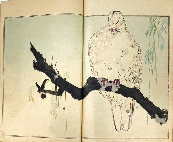 1890 Watanabe Seitei Kacho Gafu Complete Set 3 Volumes Original Woodblock Book (1 of 6)