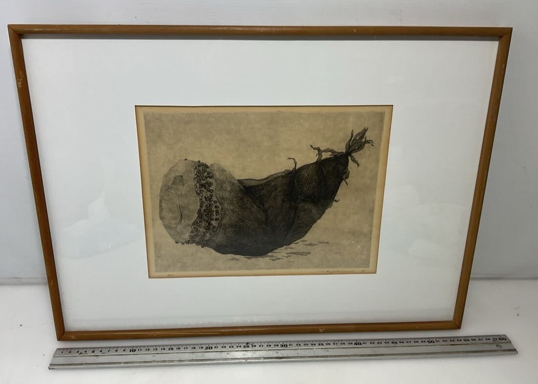Ryohei Tanaka Bamboo Shoot Etching 1969 Signed Limited Edition 20/ 100 Framed (1 of 8)