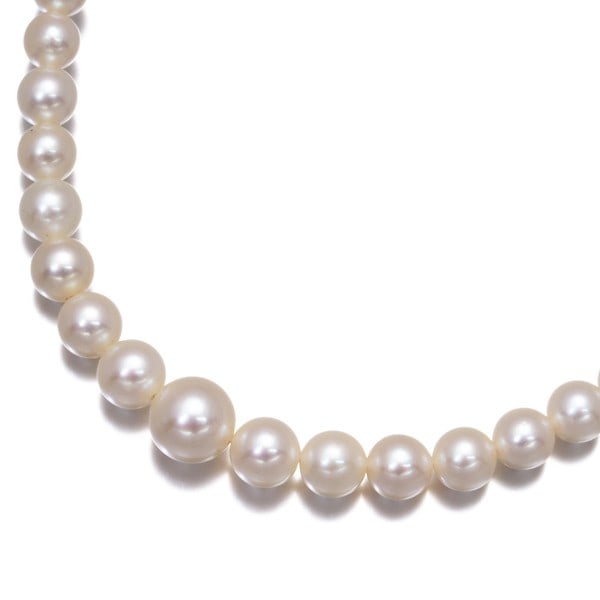 Mikimoto Necklace Akoya Pearl 3.6-7.3Mm Silver: Mikimoto Necklace Akoya Pearl 3.6-7.3Mm Silver The Mikimoto Necklace showcases an elegant Akoya pearl, measuring between 3.6-7.3mm in diameter, set in sterling silver. This beautiful piece features a