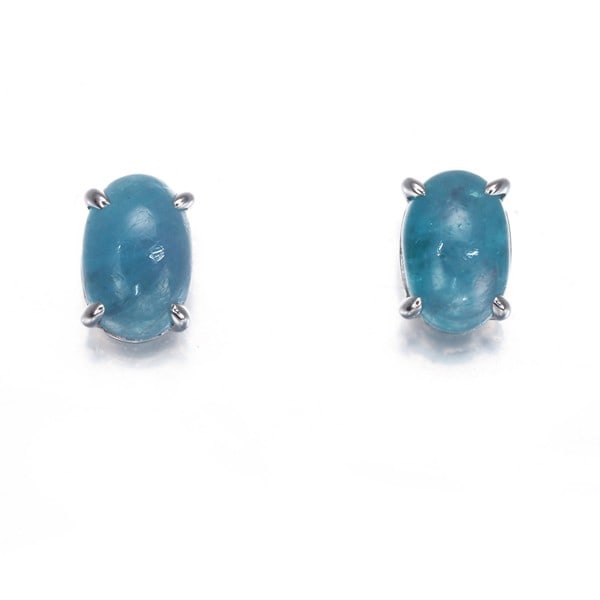Gstv Earrings Paraiba Tourmaline 0.40Ct/ 0.40Ct 950 900 Platinum: Gstv Earrings Paraiba Tourmaline 0.40Ct/ 0.40Ct 950 900 Platinum Platinum earrings featuring two Paraiba Tourmaline stones, each weighing 0.40 carats, set in high-karat platinum. The natural Paraiba