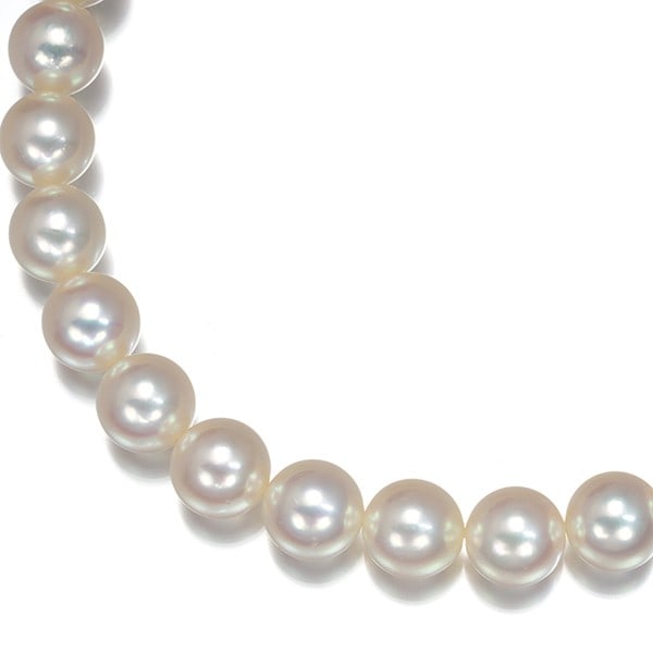 Mikimoto Silver Akoya Pearl Necklace 6.0-6.4mm: Mikimoto Silver Akoya Pearl Necklace 6.0-6.4mm Mikimoto's iconic silver Akoya pearl necklace boasts lustrous 6.0-6.4mm pearls, expertly crafted into a timeless piece of jewelry. The intricate details