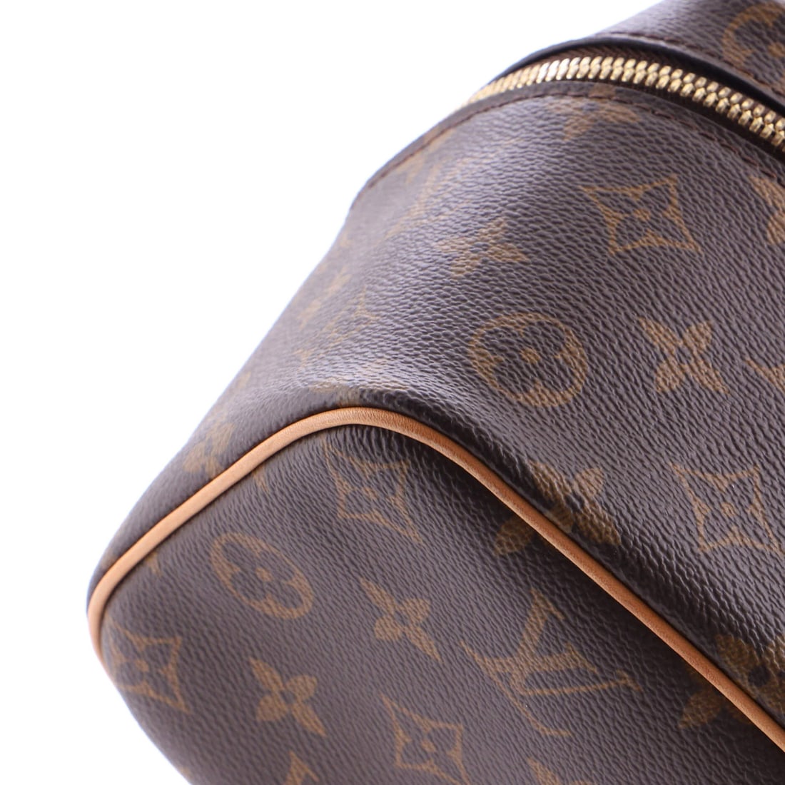 Mini Canvas Monogram Case Vanity Nice Louis Vuitton - 6