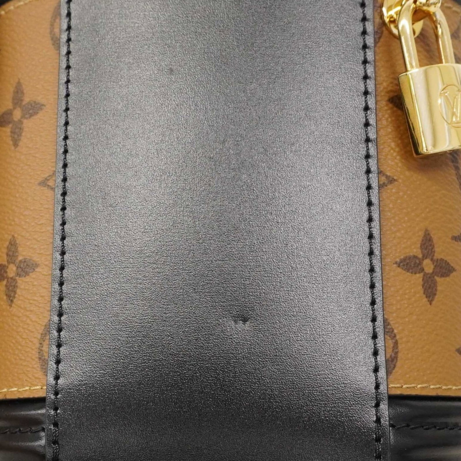 Louis Vuitton Handbag - 7