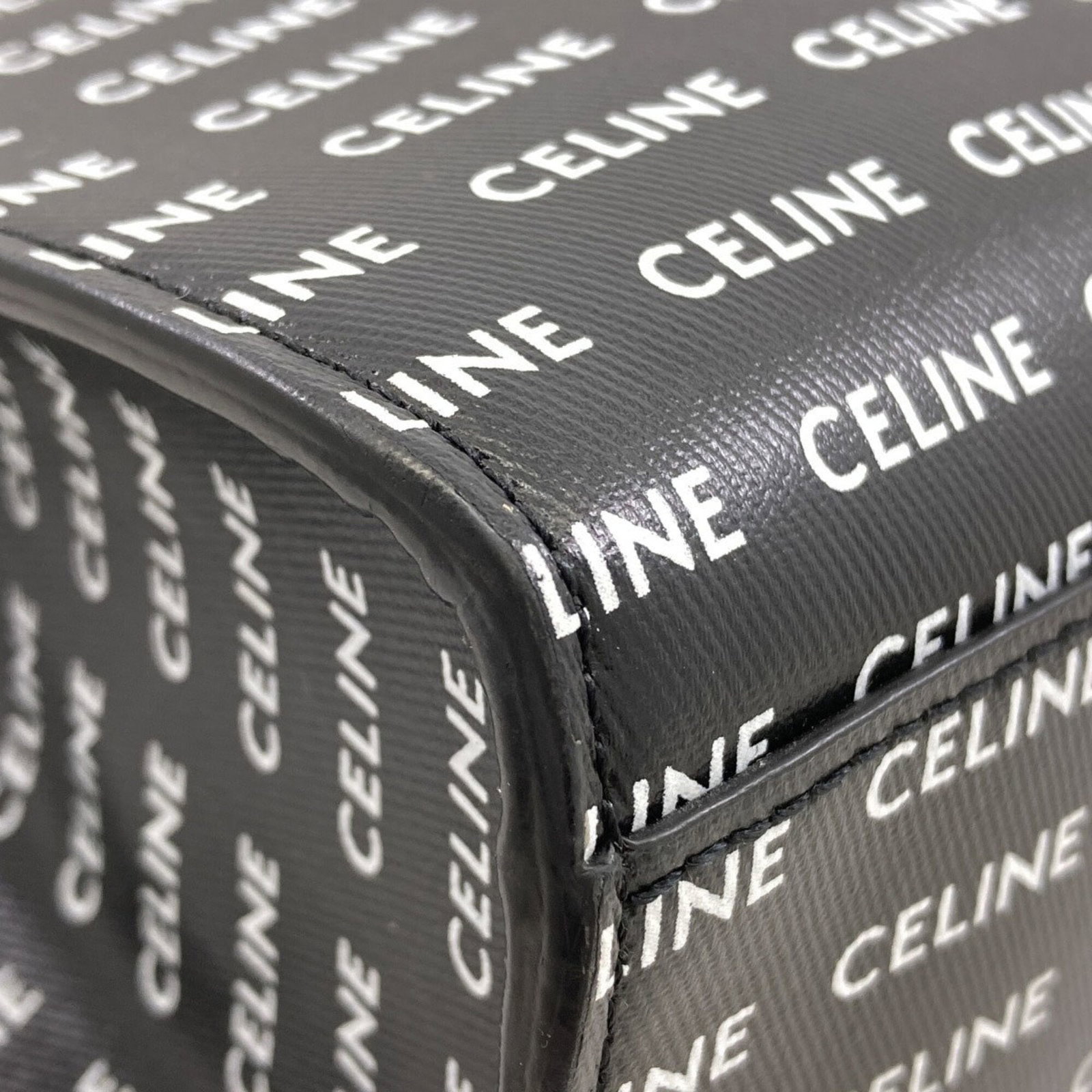 Celine Handbag Pvc - 19