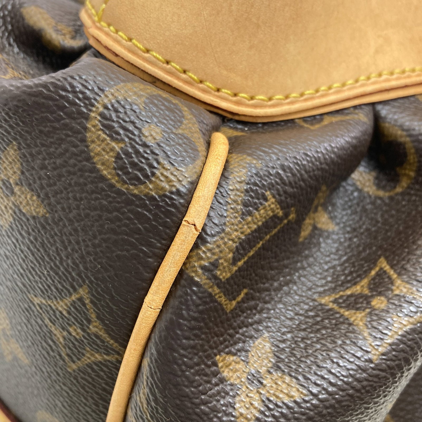 Monogram Louis Vuitton Handbag - 16