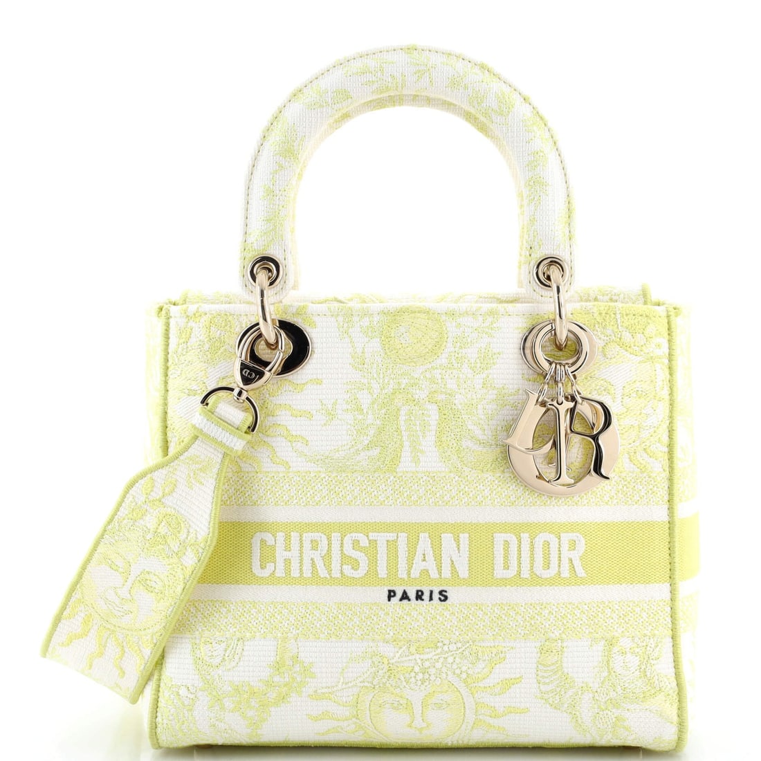 Christian Dior Lady D Lite Bag Embroidered Canvas (1 of 5)