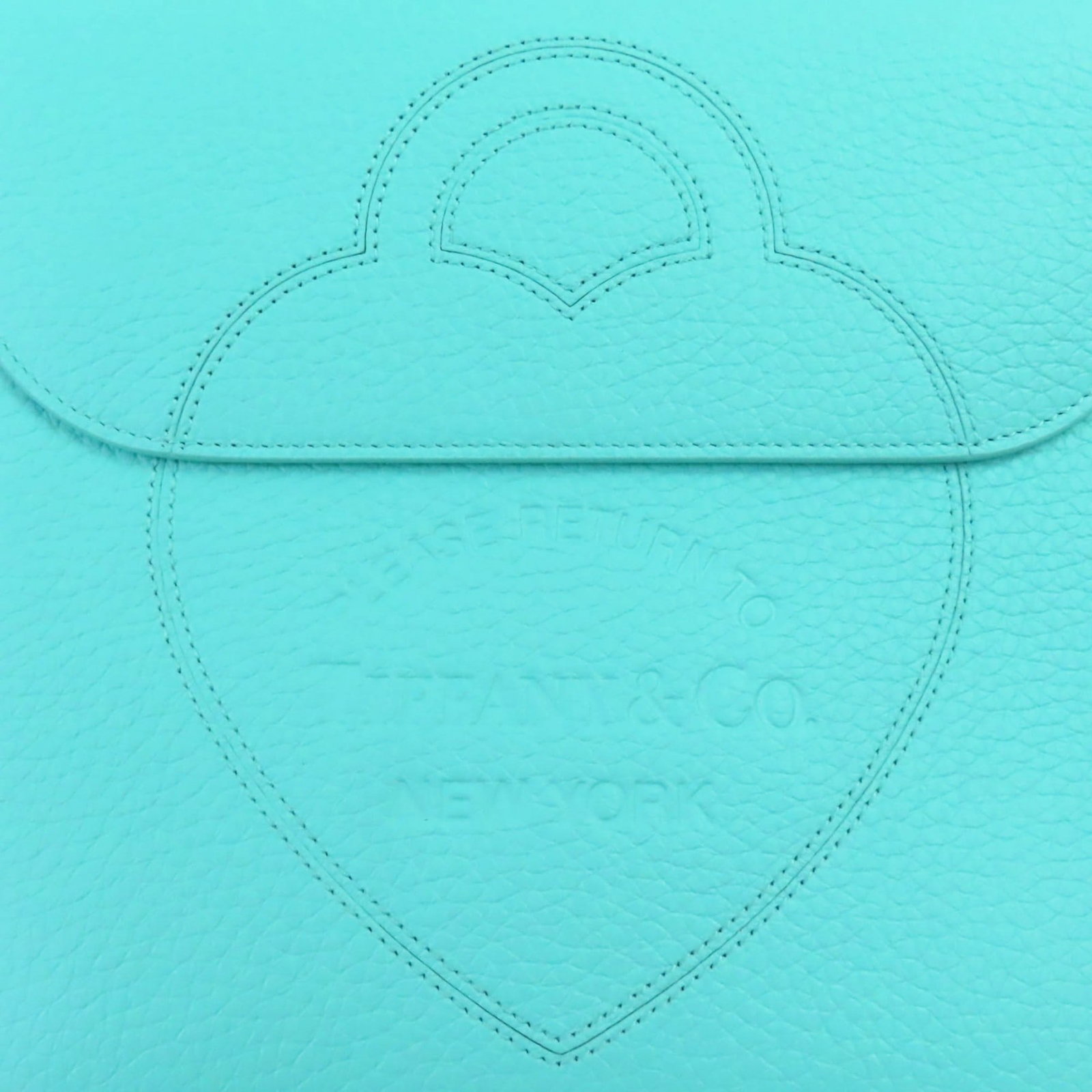 Tiffany Pouch Leather - 6