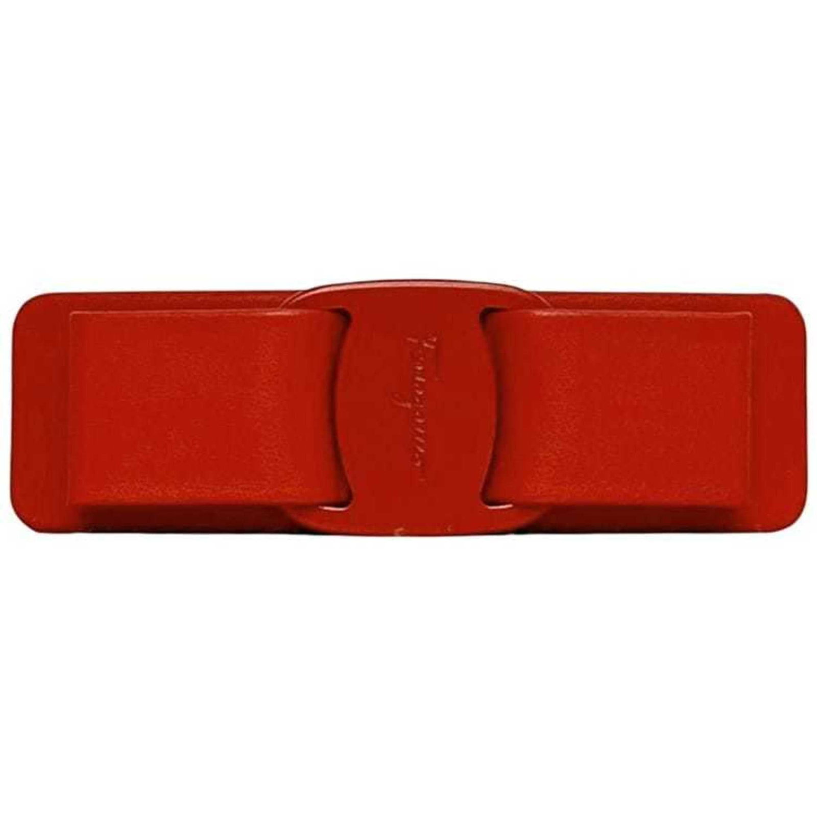 Barrette Leather by Salvatore Ferragamo (1 of 11)
