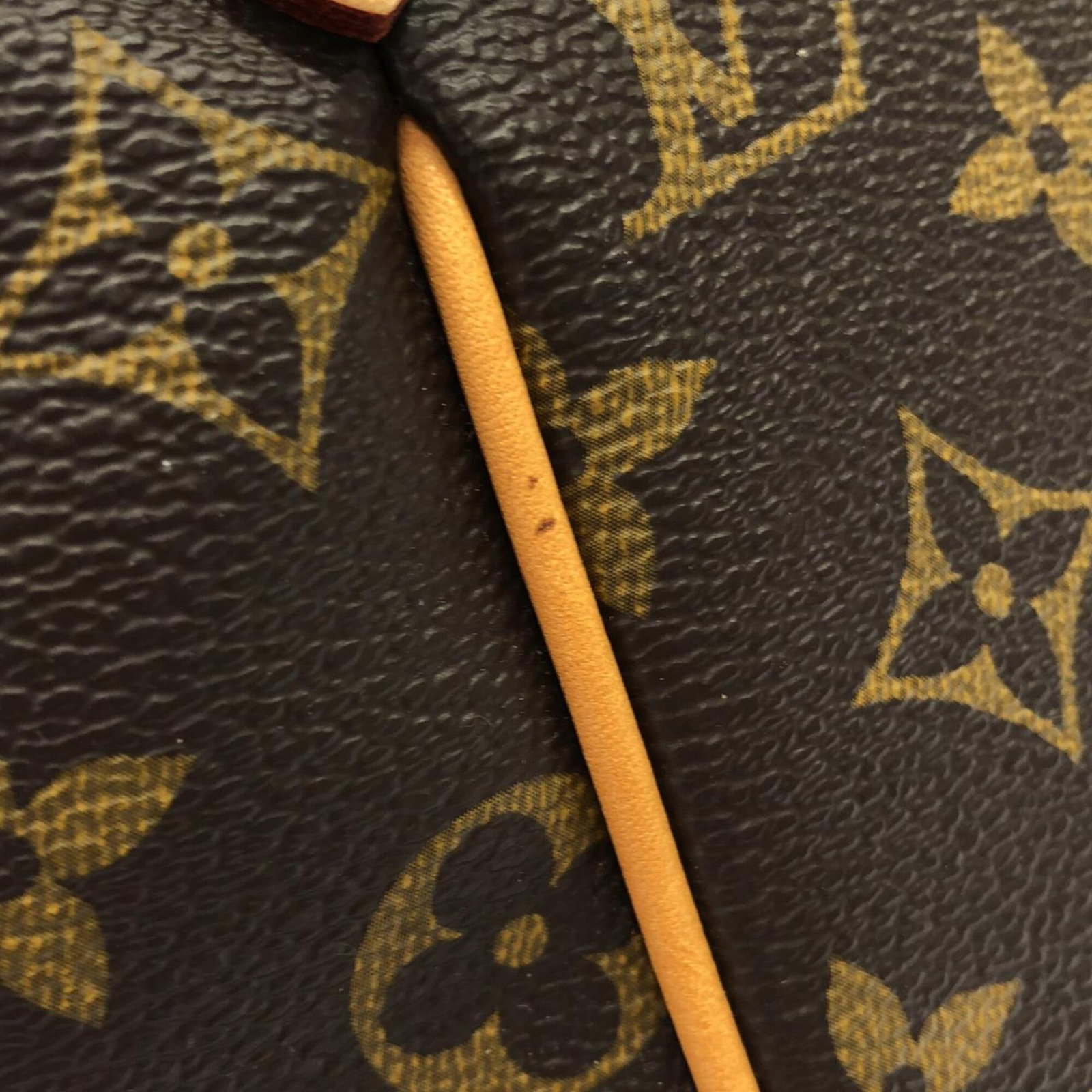Monogram Louis Vuitton Handbag - 6