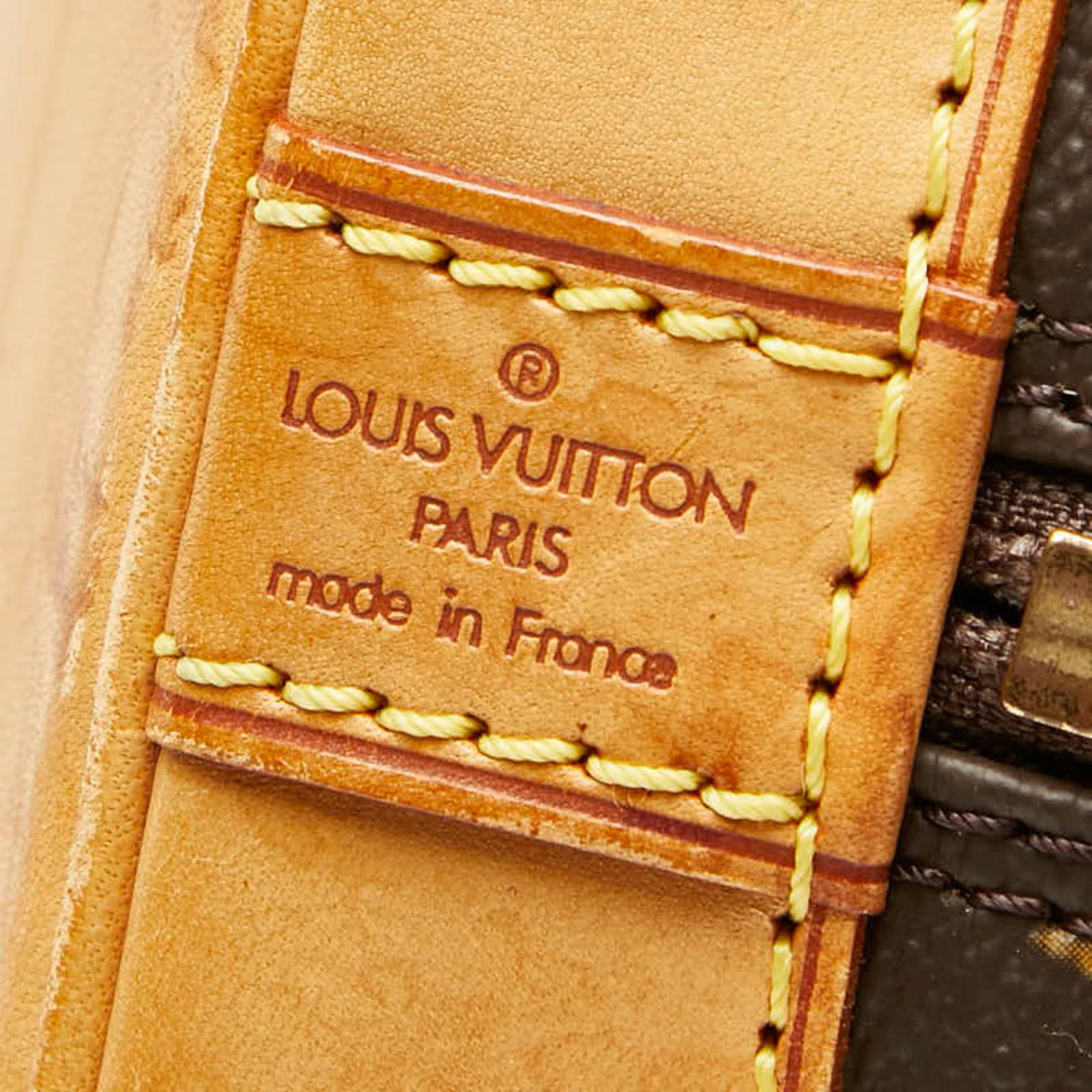 Louis Vuitton Handbag Pvc Leather - 10