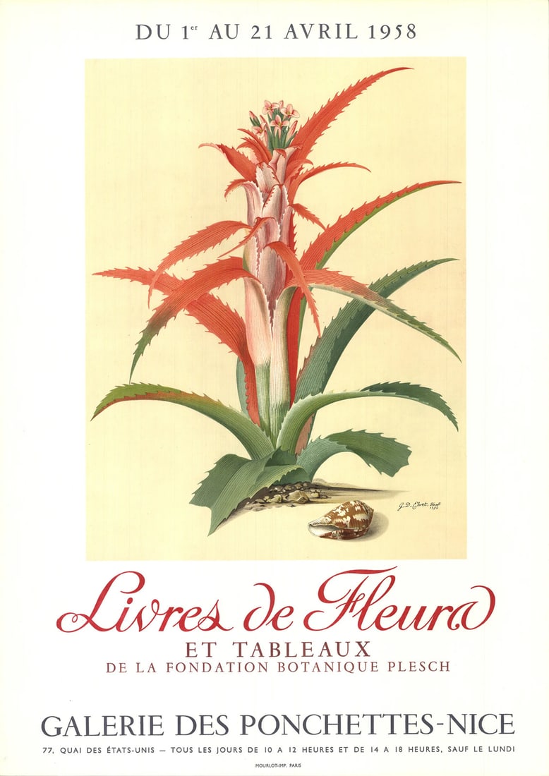 GEORG DIONYSIUS EHRET Flower Books and Paintings from the Plesch Botanical Found (1 of 4)