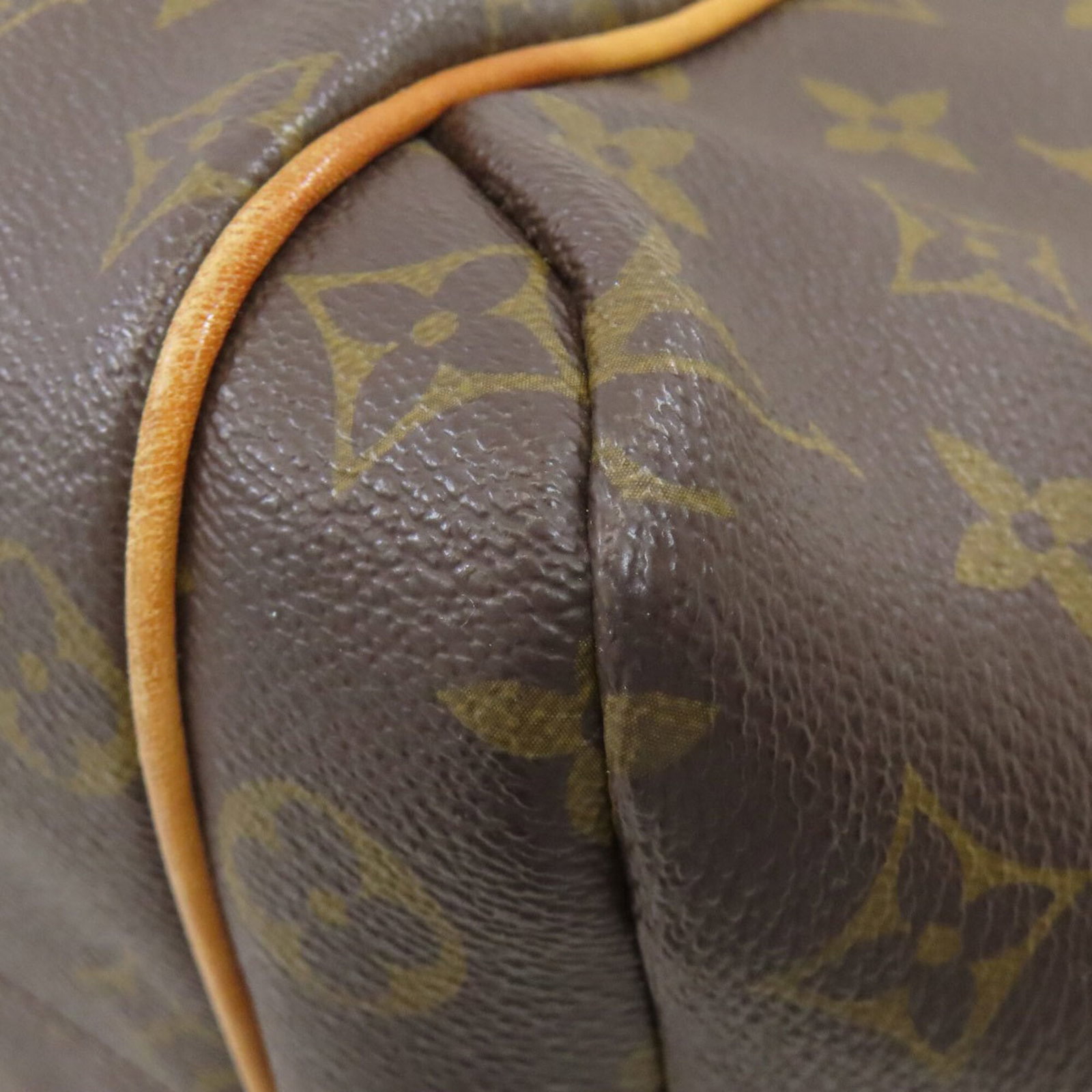 Monogram Louis Vuitton Tote Bag - 14