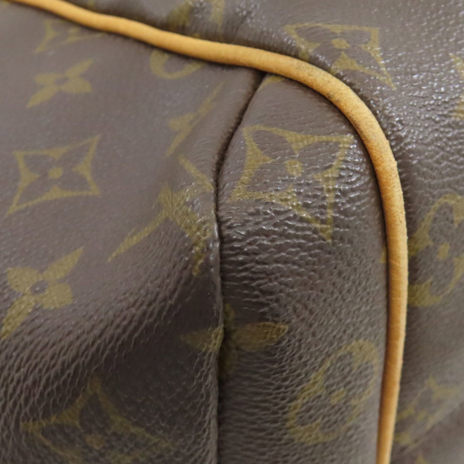 Monogram Louis Vuitton Tote Bag - 15