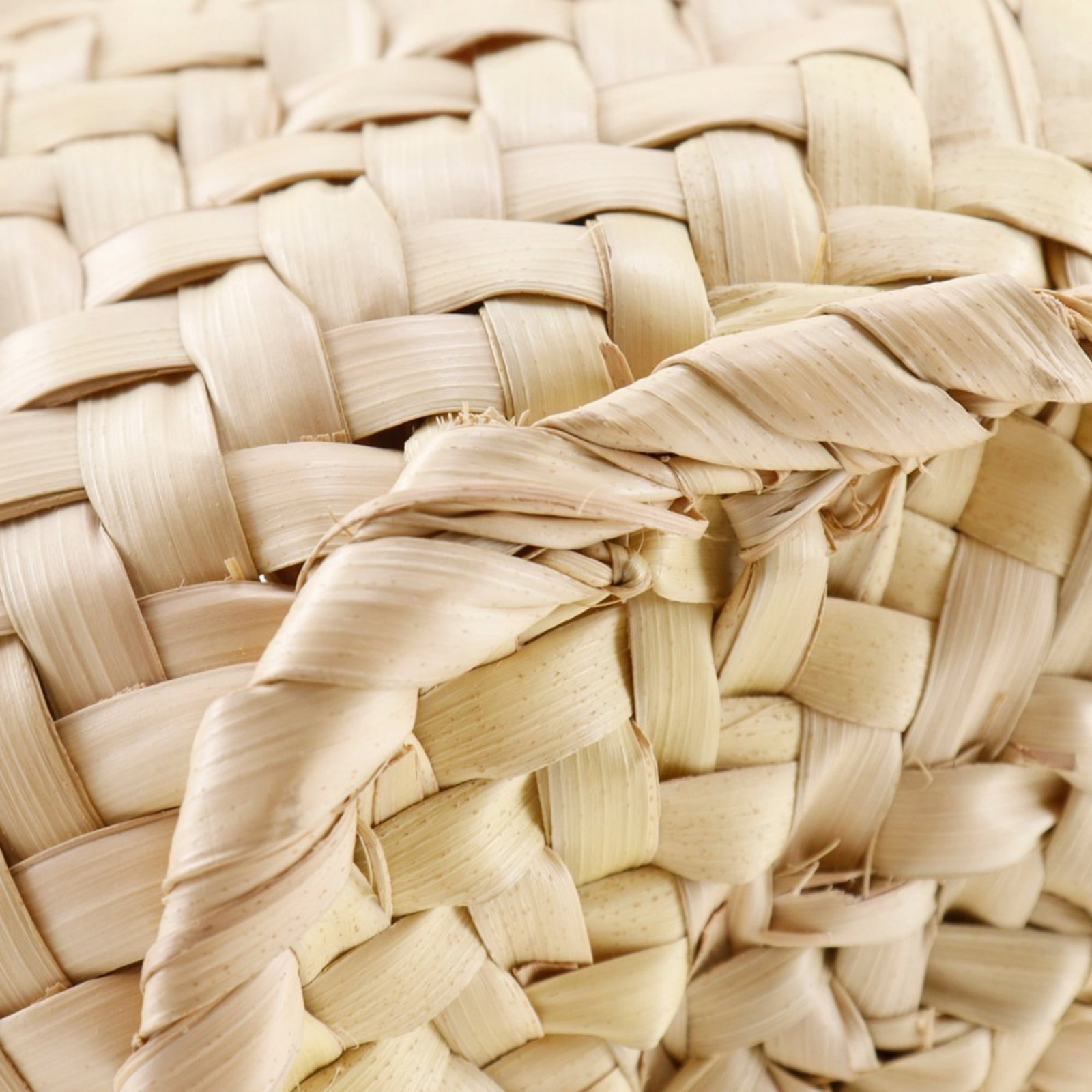 Loewe Raffia Tote Leather Bag - 8