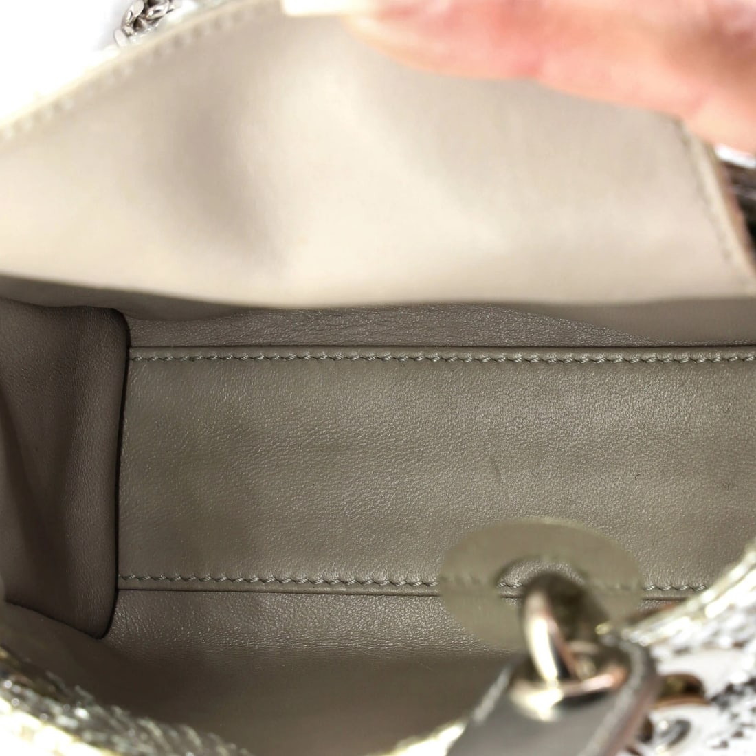 Python Dior Lady Chain Mini Bag - 6