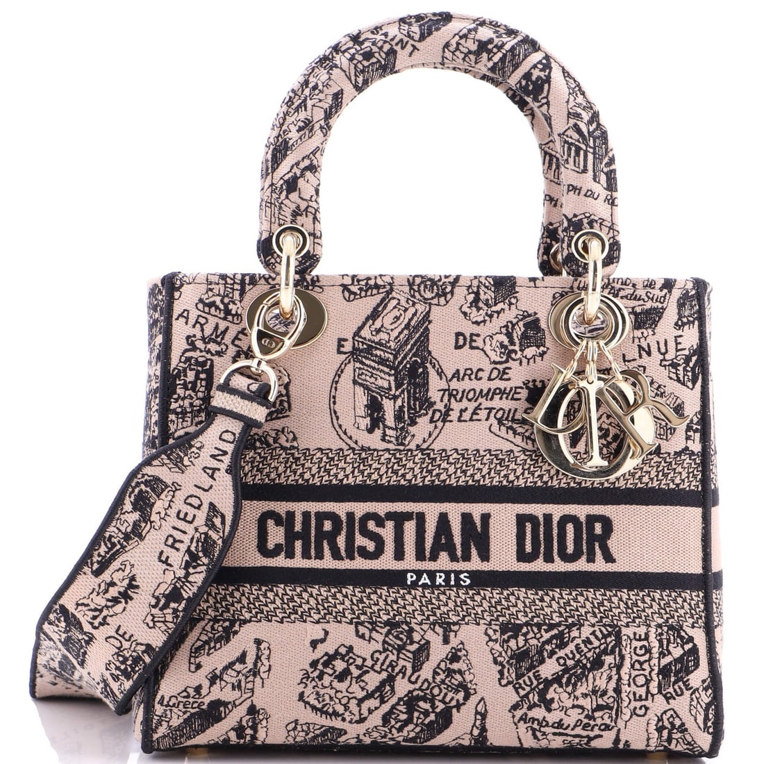 Christian Dior Lady D-Lite Bag Embroidered Canvas Medium (1 of 8)