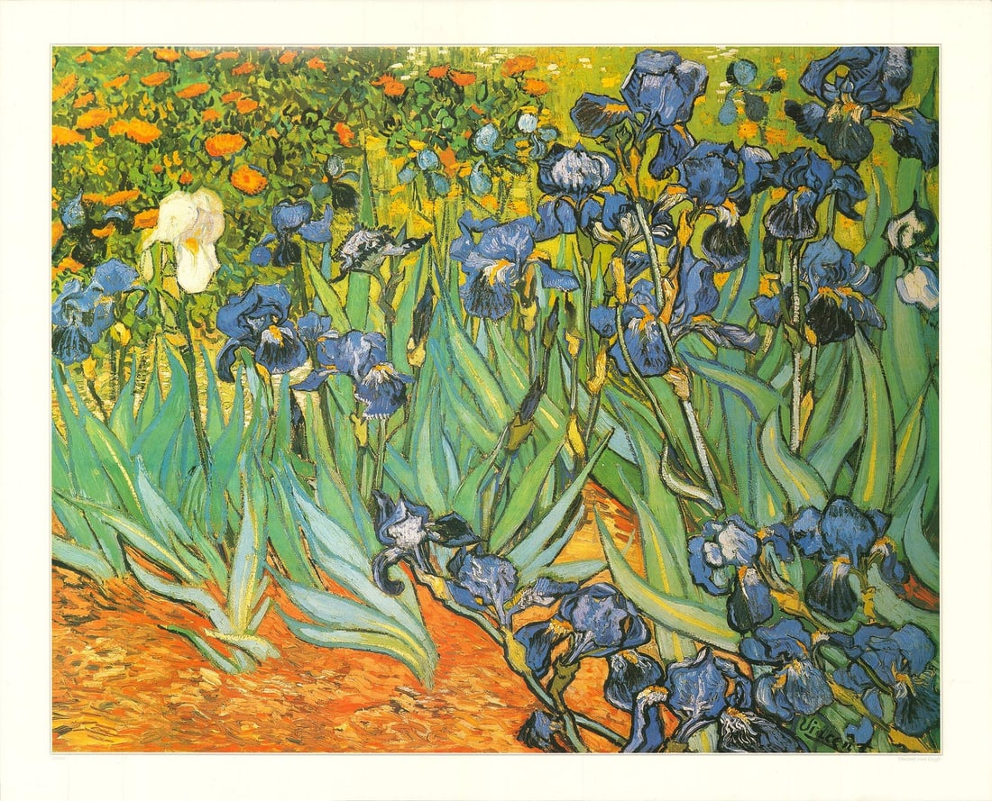 VINCENT VAN GOGH Irises 27.25" x 33.5" Offset Lithograph Impressionism: VINCENT VAN GOGH Irises 27.25" x 33.5" Offset Lithograph Impressionism Item Specifics: Artist: Vincent Van Gogh Brand: Van Gogh Vincent Height: 27.25 Item Height: 27.25 Subject: Floral Type: Offset Li