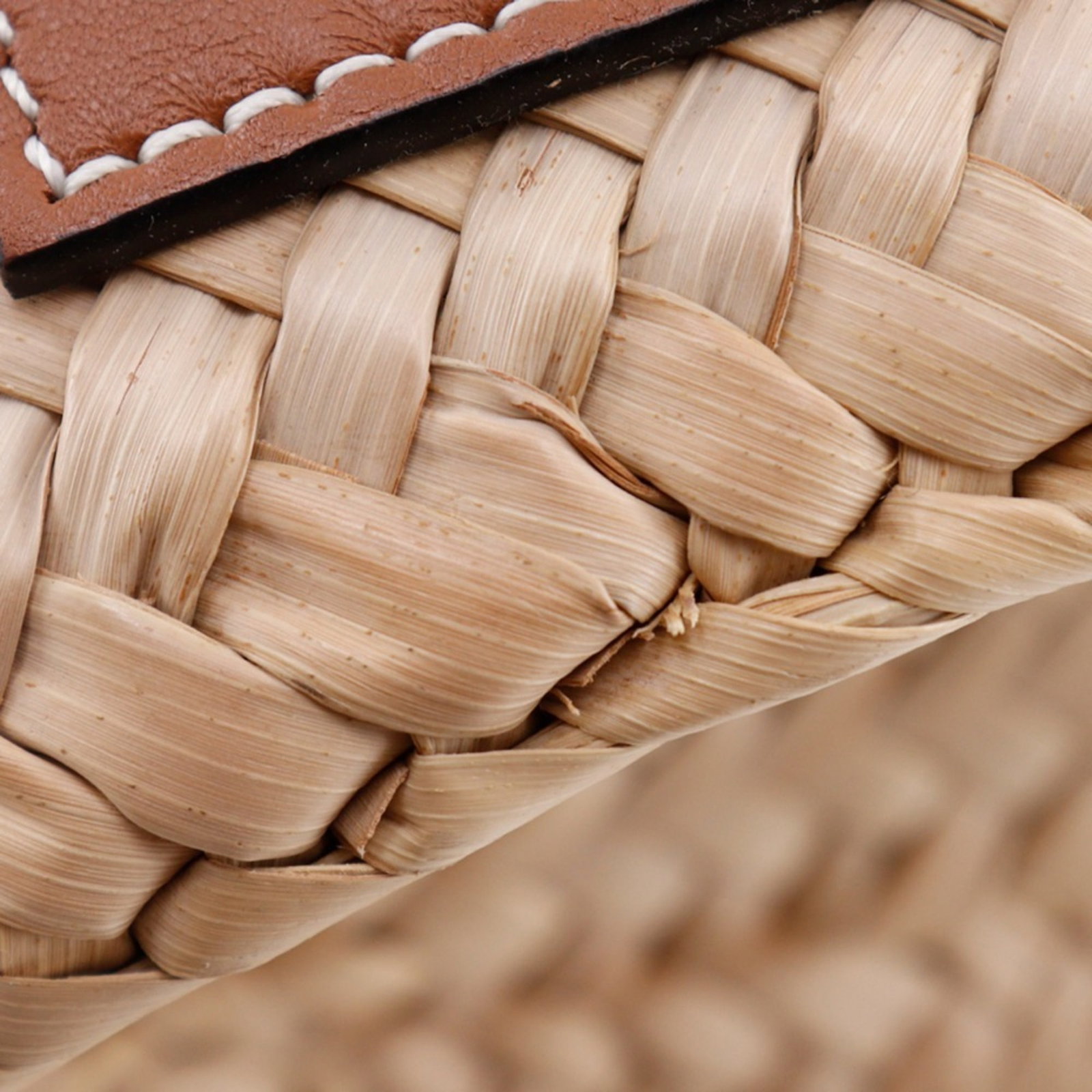 Loewe Raffia Tote Leather Bag - 11
