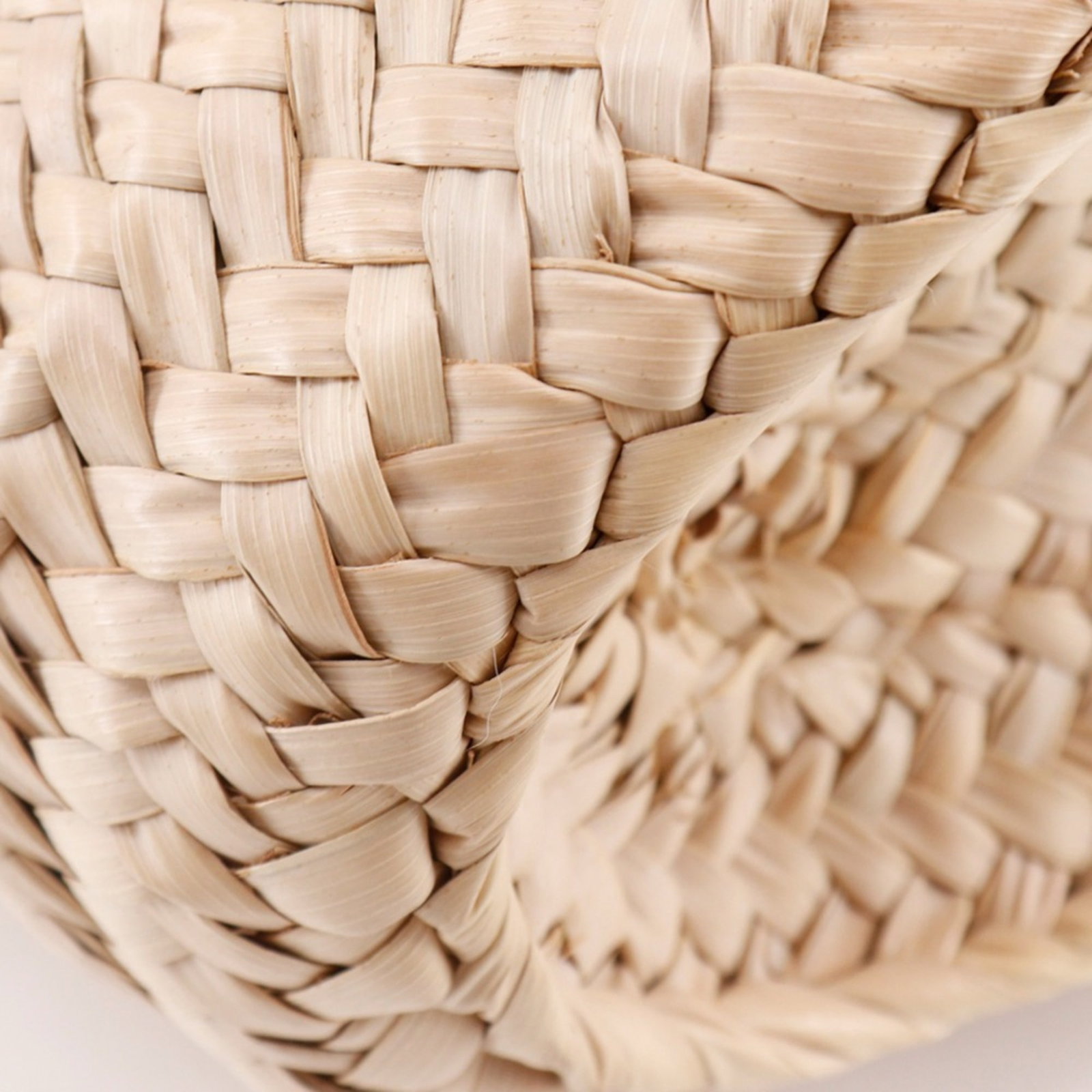 Loewe Raffia Tote Leather Bag - 4