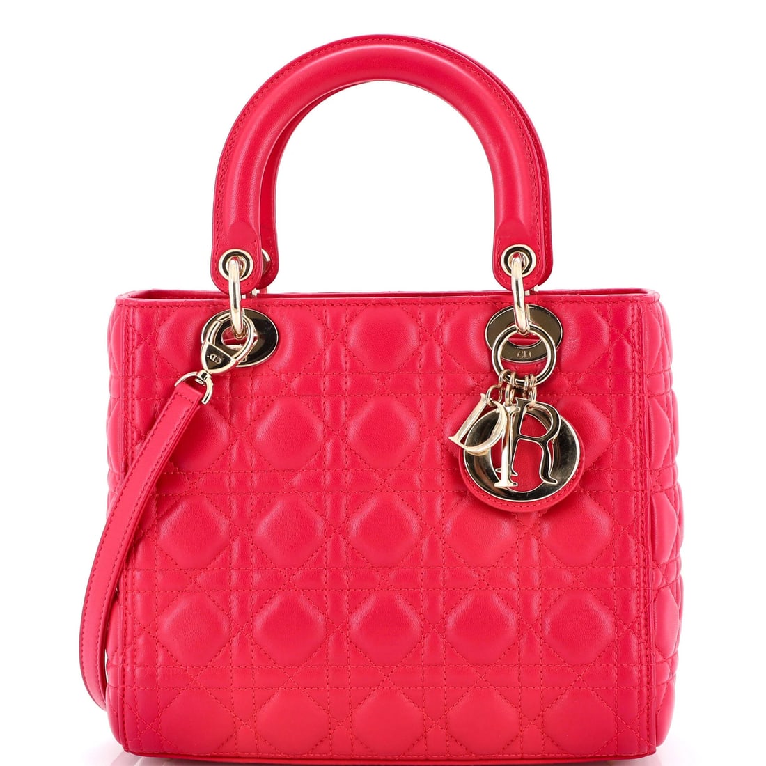 Christian Dior Lady D-Lite Bag Embroidered Canvas Medium (1 of 5)