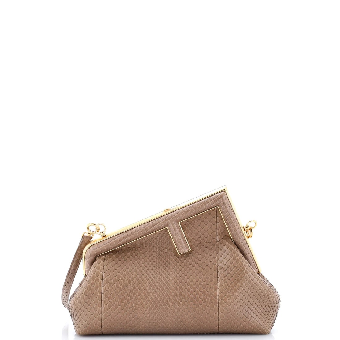 Fendi Bag Python Small (1 of 5)