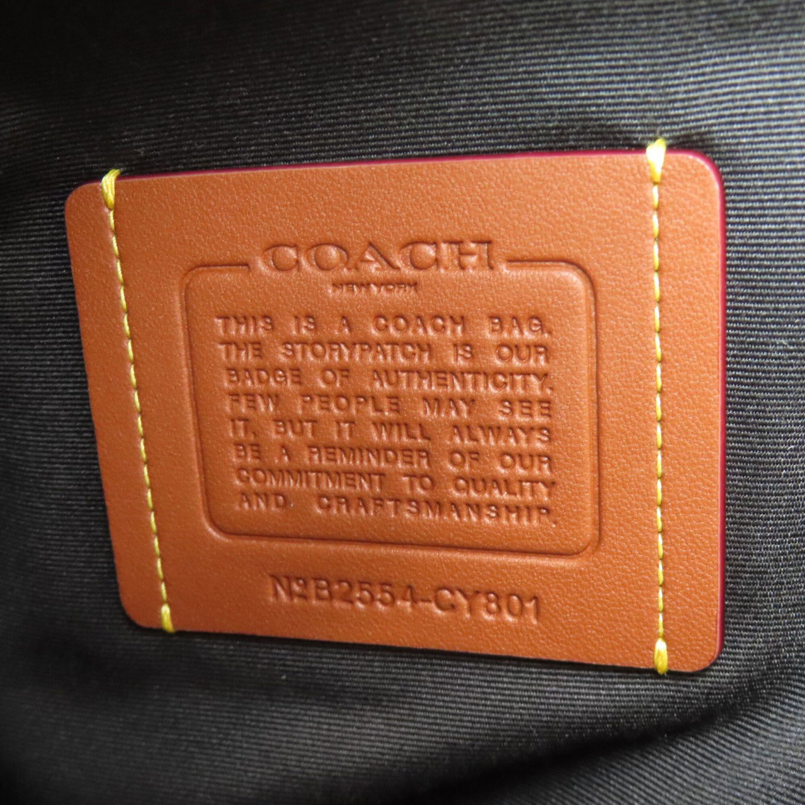 Coach sling bag pvc - 6