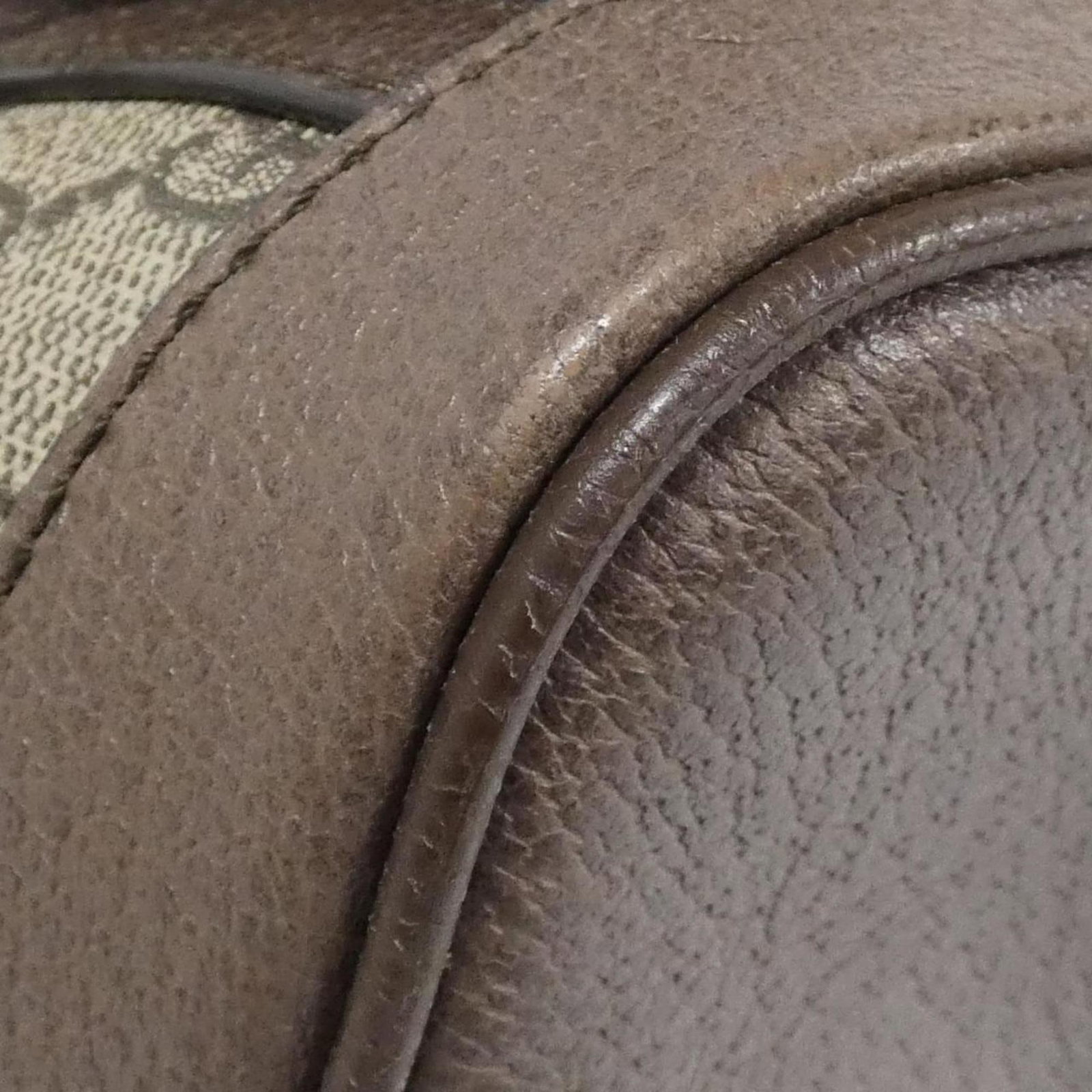 Gucci Leather Backpack Supreme - 3