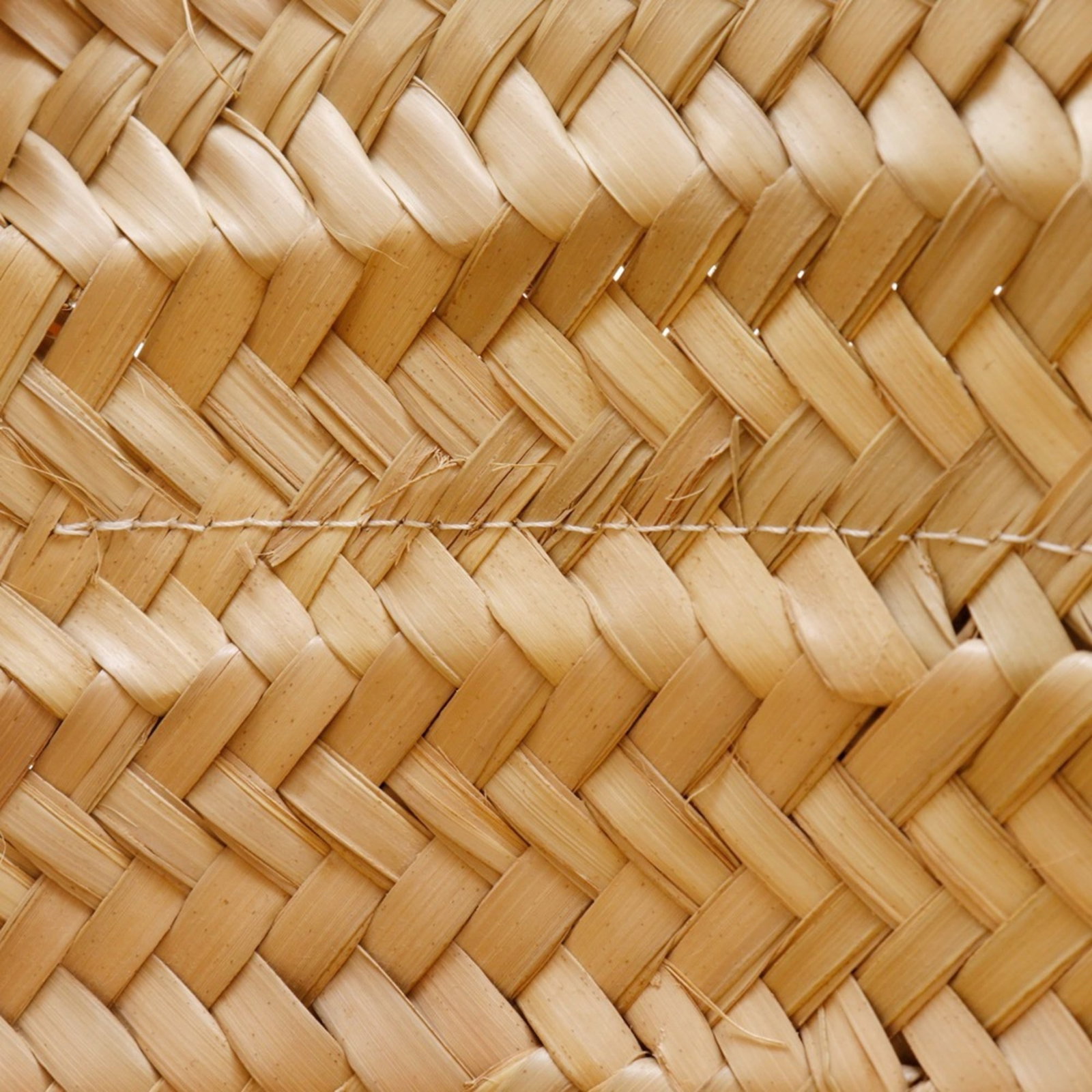 Loewe Raffia Tote Leather Bag - 10