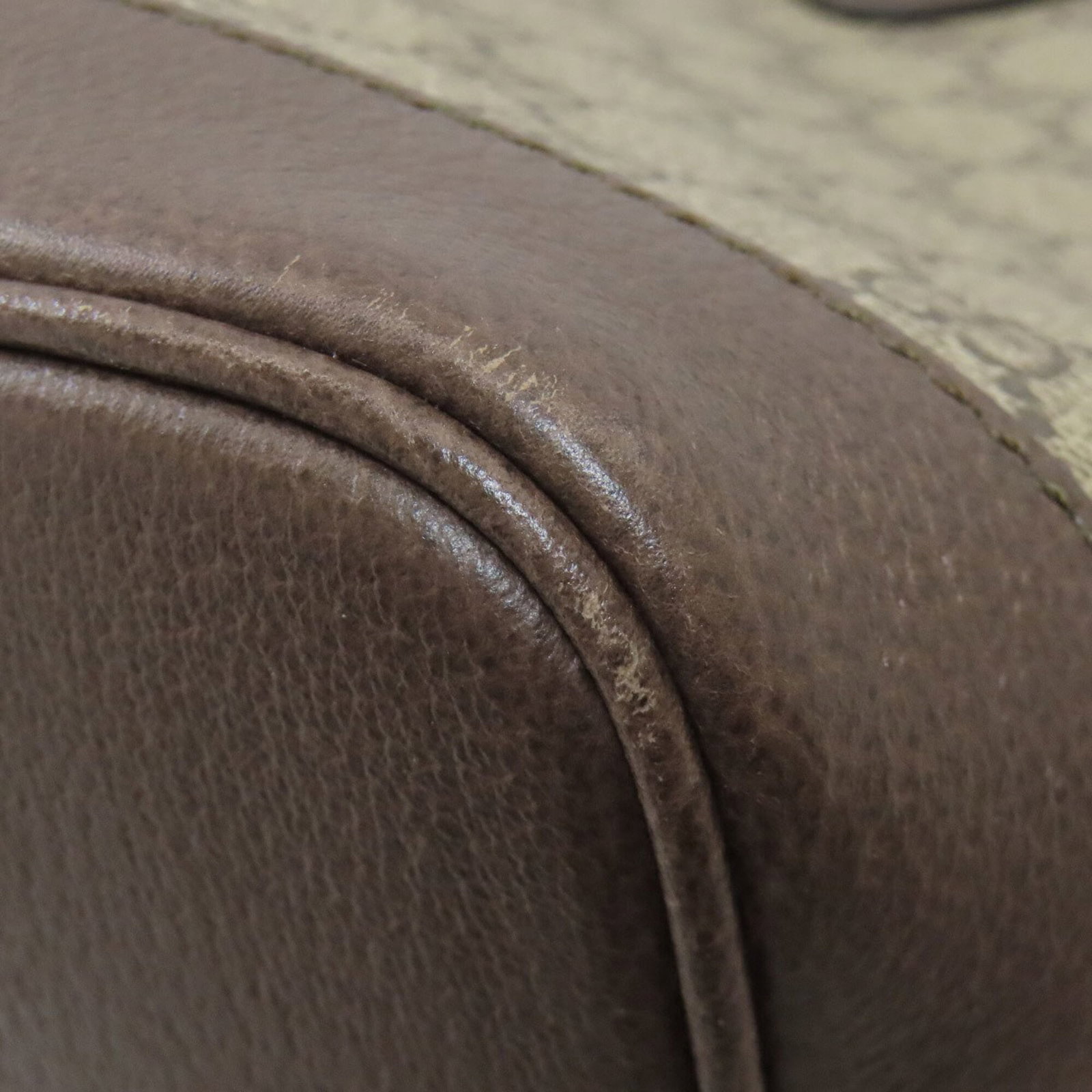 Gucci Handbag Pvc - 13
