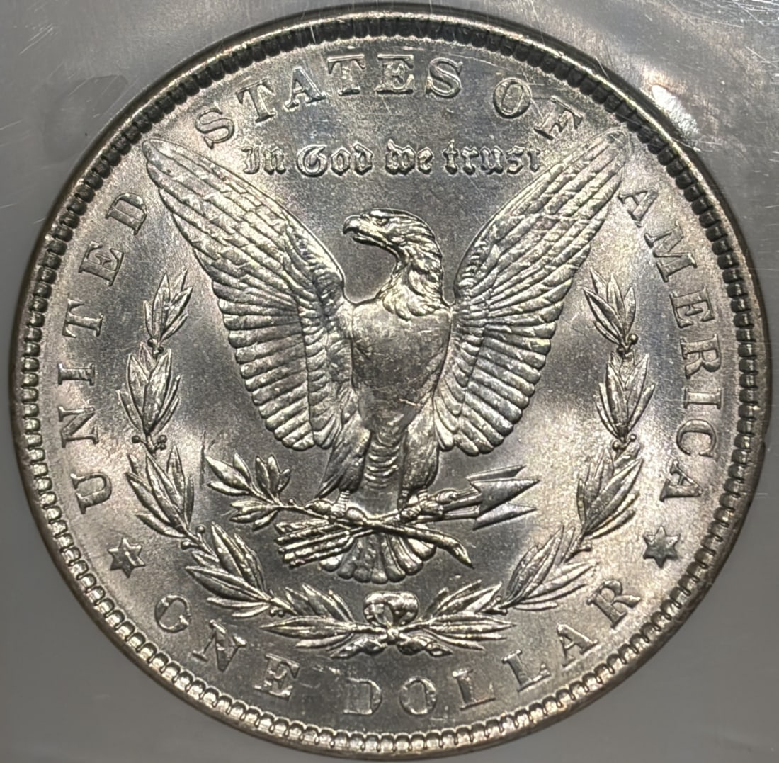 MORGAN DOLLAR NGC MS61 - 3