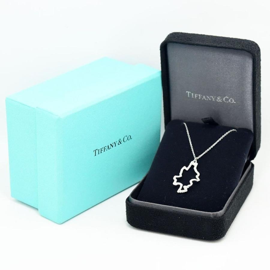 Diamond Leaf 18k White Gold Necklace Pendant with Box by Tiffany & Co (1 of 7)