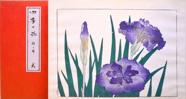 Sakai Hoitsu Flowers of Four Seasons 10 Vol Woodblock Print Book Unsodo 1967: Sakai Hoitsu Flowers of Four Seasons 10 Vol Woodblock Print Book Unsodo 1967 Item Specifics: Artist: Sakai Hoitsu Subject: Flowers Botanical Four Seasons Material: Paper Style: Japanese Size: 28 x 19 