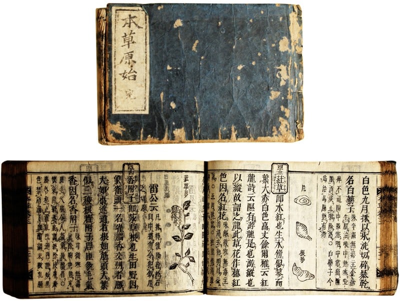 Woodblock Book Illustrated Edo Genshi Honzo Herbal Medicine Botany (1 of 1)