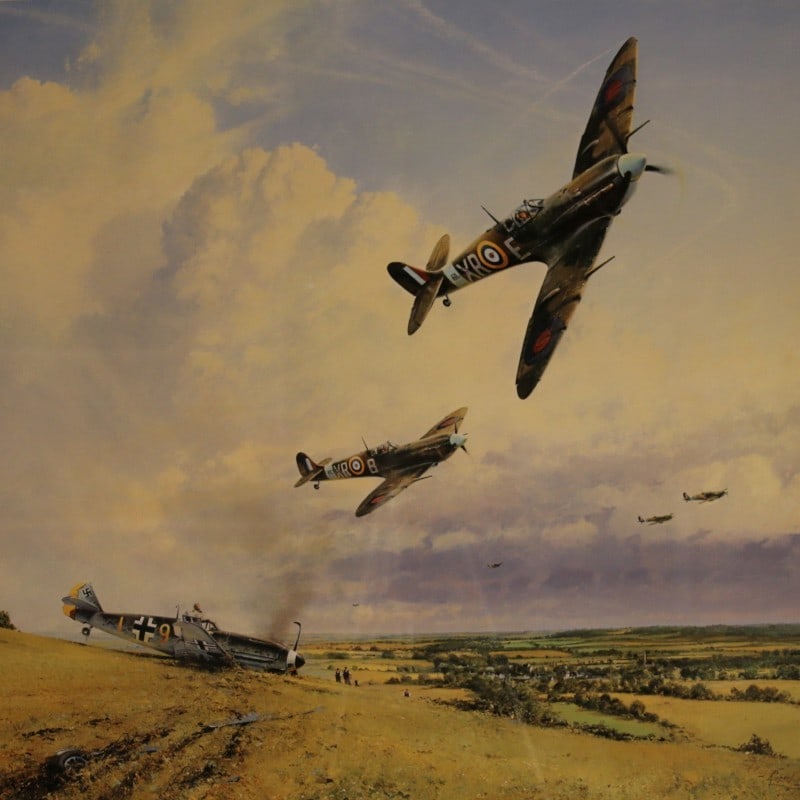 Spitfire RAF Signed Lithograph WWII Eagles Robert Taylor - 2
