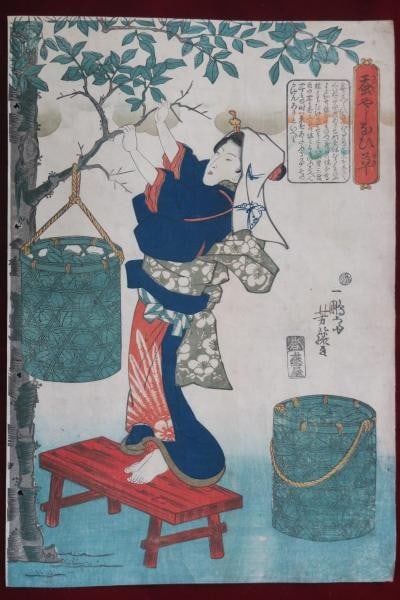 Utagawa Yoshifuji Woodblock Print Sericulture Silkworms Bijin Edo Period 1840s: Utagawa Yoshifuji Woodblock Print Sericulture Silkworms Bijin Edo Period 1840s Item Specifics: Artist: Utagawa Yoshifuji Subject: Sericulture Silkworms Beautiful Women Material: Washi Paper Style: Jap