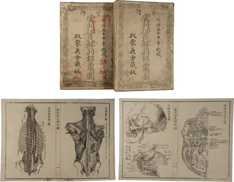 1872 Meiji Japanese Anatomy Book Gray s Anatomy Copperplate Engravings 2 Vols (1 of 1)