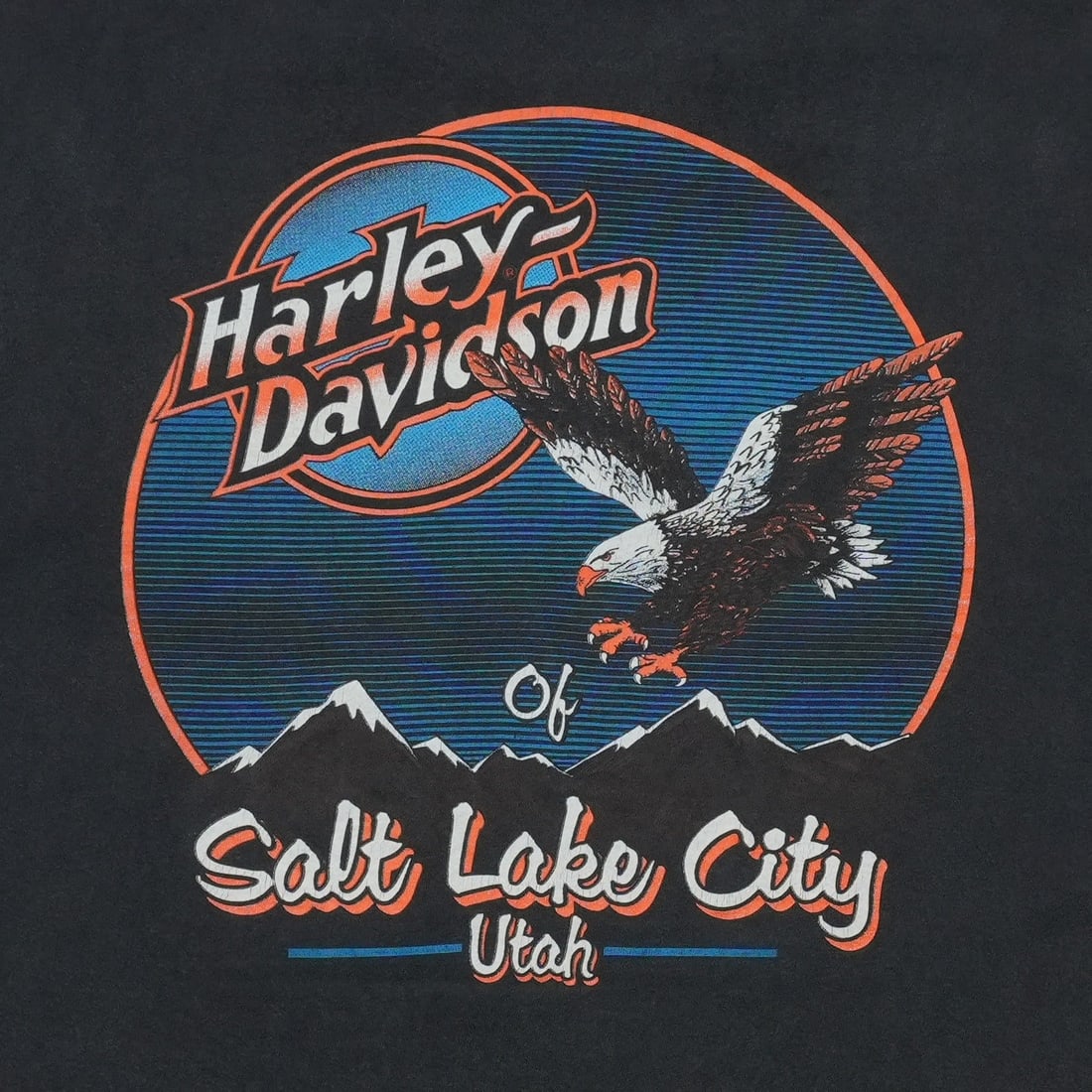 Swooping Eagle Harley Davidson Shirt - 7